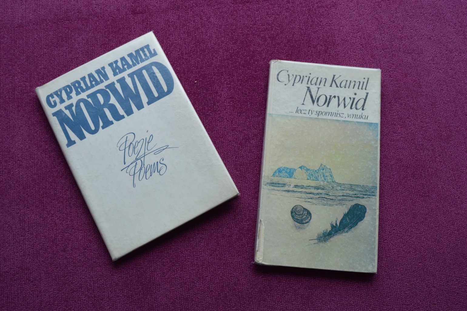 Dwie książki - Cypriana Kamila Norwida.