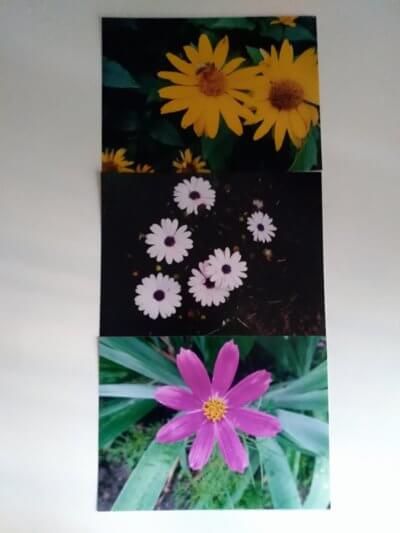 Kompozycja kwiatowa składajaca się z filetowych, zółtych i białych.