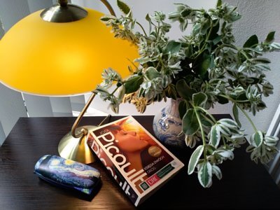 książka obok doniczki z kwiatem.