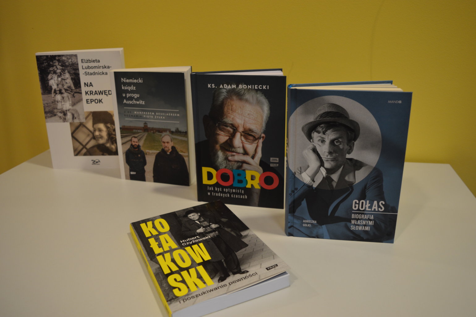 Przykładowe nowości w wypożyczalni dla dorosłych.