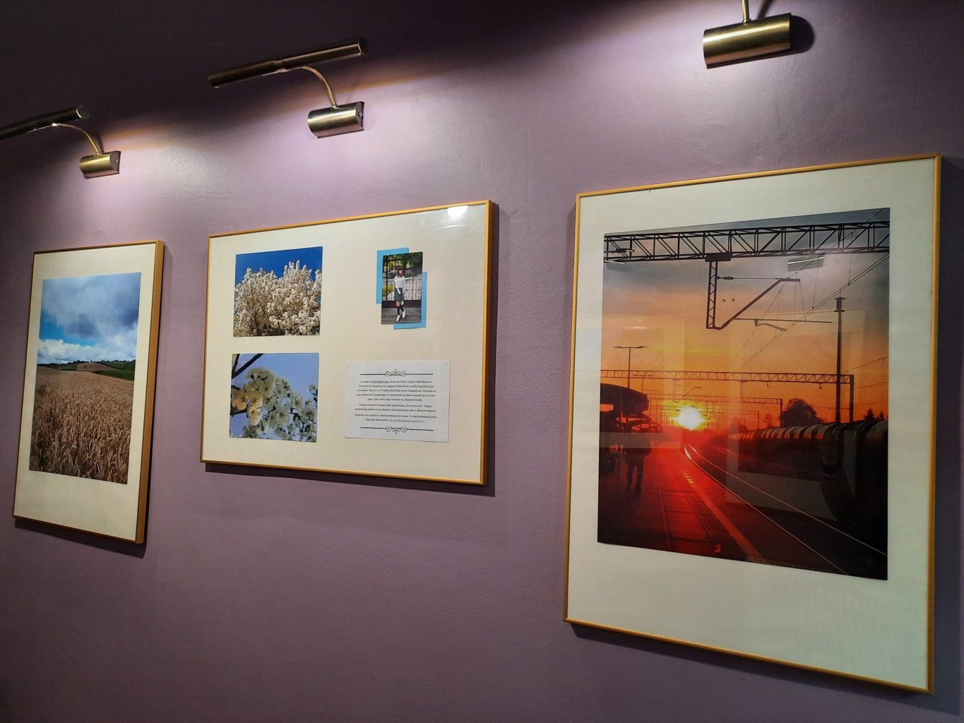 Wystawa fotografii Mai Dąbrowskiej.